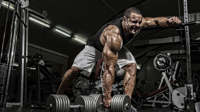 Steroide und Sportphysiologie: Anpassung des Körpers an das Training und die verwendeten Medikamente